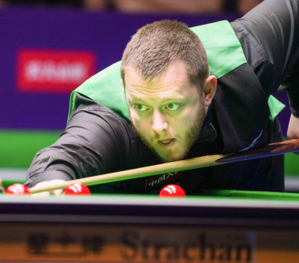 成功获得了 成功获得了