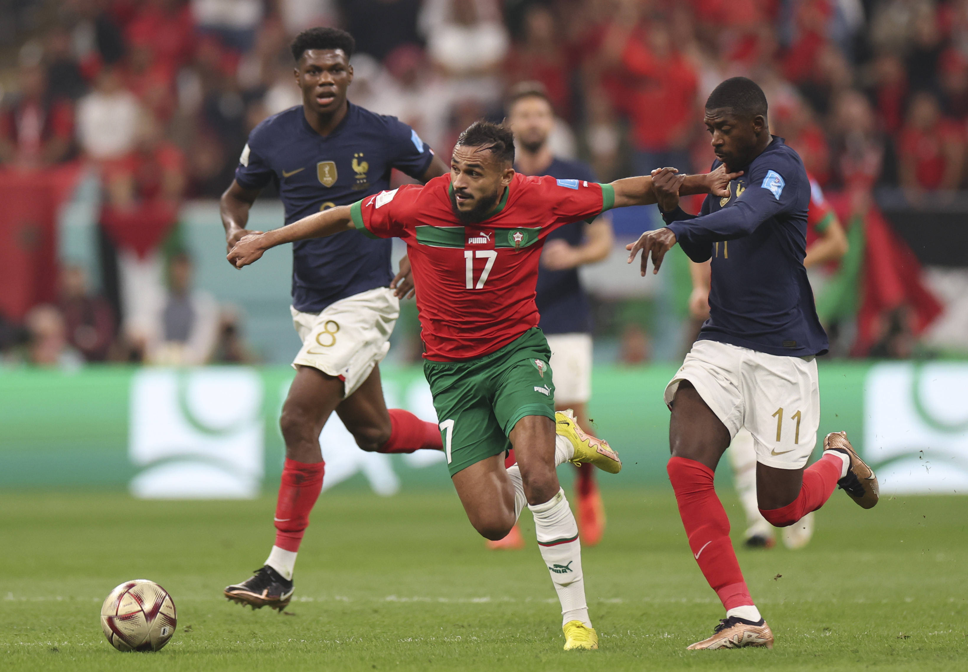 山东队需要 山东队需要